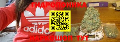 PSILOCYBIN Обнинск