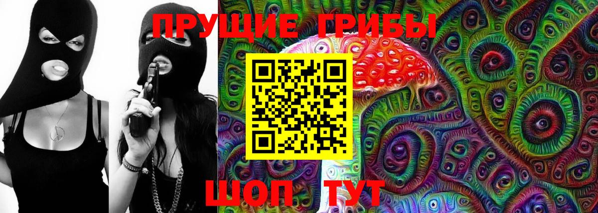 Галлюциногенные грибы Psilocybine cubensis Алексин
